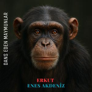 Dans eden maymunlar