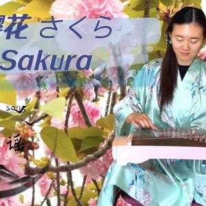 樱花 さくら Sakura - Japanese folk song 日本民谣 古筝演奏 Guzheng by Mila Zeng