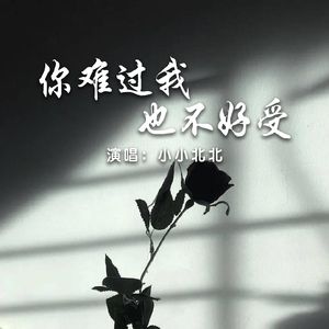 你难过我也不好受