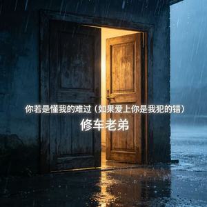 你若是懂我的难过（如果爱上你是我犯的错）