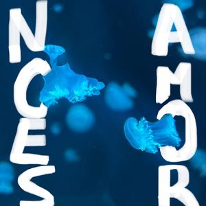 noesamor (feat. jeez)