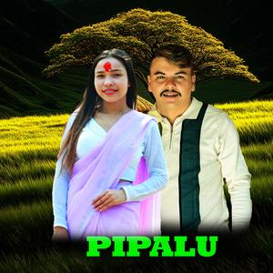Pipalu (feat. Sarita Sunar)