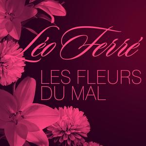 Harmonie Du Soir