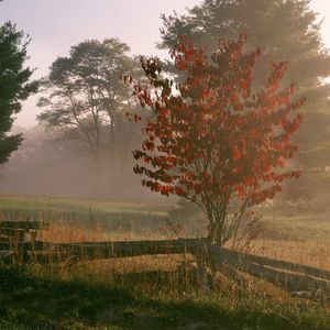 钢琴白噪音里的梦乡序曲