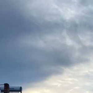 原来你不是木讷的树