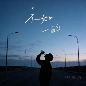 不如一醉