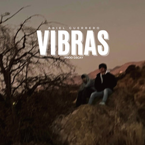Vibras