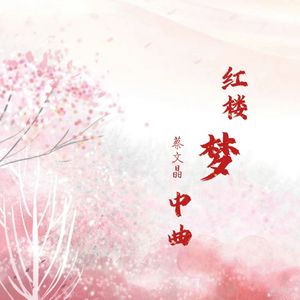 葬花吟（蔡文晶 remix）