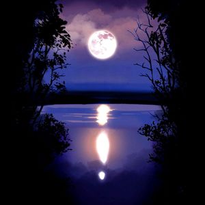 你是天上月 勿入凡间的仙