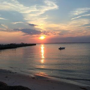 Turning Towards The Sun