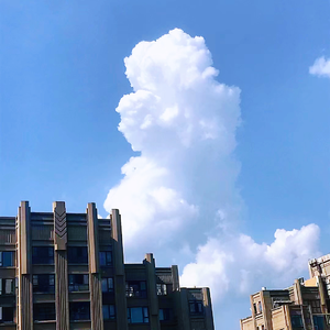 今晚很忙 要看月亮