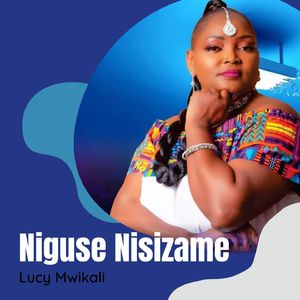 Niguse Nisizame