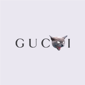 (租售)GUCCI CAT