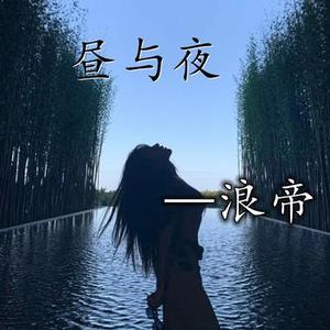 简单甩头曲 (DJ版)