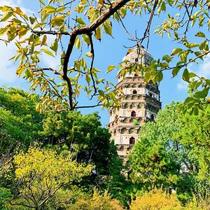 十年（翻自 陈奕迅）（翻自 BeatzHummer）