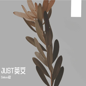 STONE（石头心）