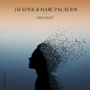 One Night (Radio Edit)