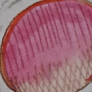 Paralyzed (thugamaniacs)