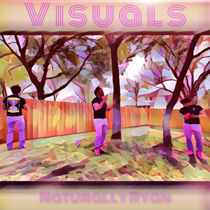 Visuals