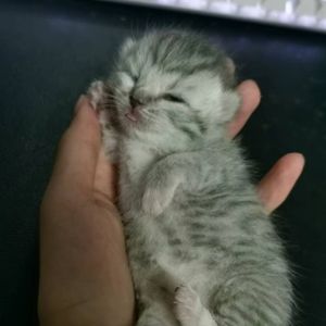 你要如何离别仍需游荡的旅人