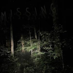 M.I.S.S.I.N.G