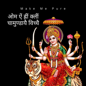 ओम ऐं ह्रीं क्लीं चामुण्डायै विच्चै