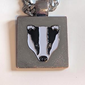 I Got Mad Love For Badgers