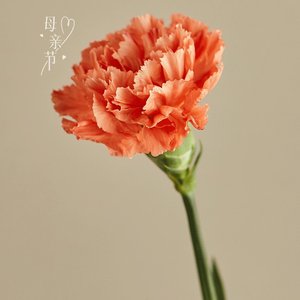 不敢听的歌