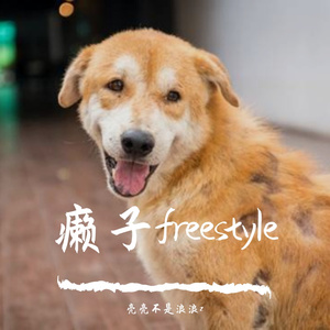 癞子freestyle