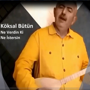 Ne Verdin Ki Ne İstersin