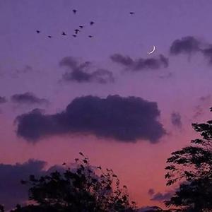 关键词（女版）