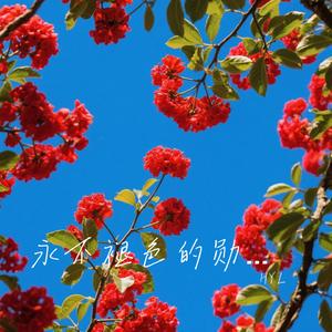 永不褪色的勋章