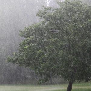 淅沥沥的下雨/放松睡觉/凉爽一夏/自然治愈/解压疗愈/背景音乐/雷声2