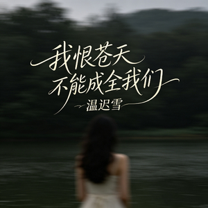 我恨苍天不能成全我们