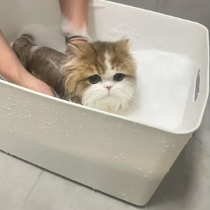 古诗中的情与景之爱