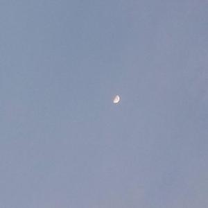 我们再重蹈覆辙好不好