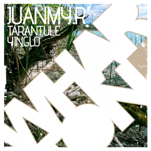 Tarantule (Original Mix)