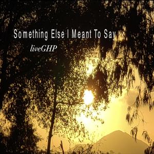 Something Else I Meant To Say