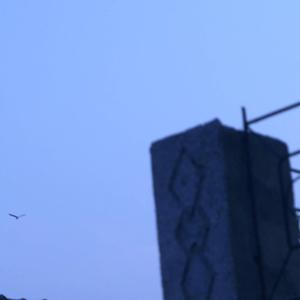 重逢（The Reunion)