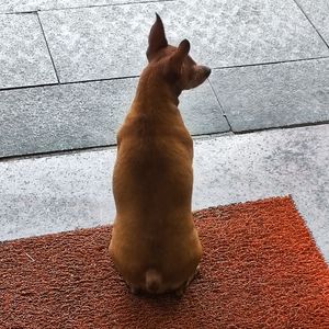 修情歌啊羞情歌_20220913_100506