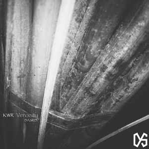 Synthetik (Original Mix)