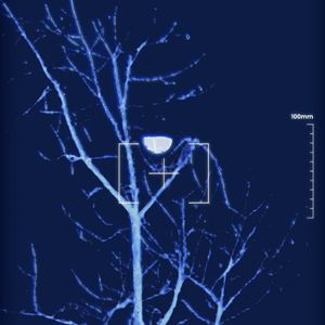 制造羁绊与流泪风险