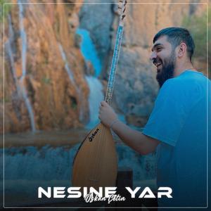 Nesine Yar