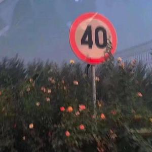 春庭雪(DJ名龙 Mix)（翻自 等什么君）