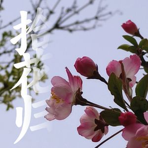拾花归