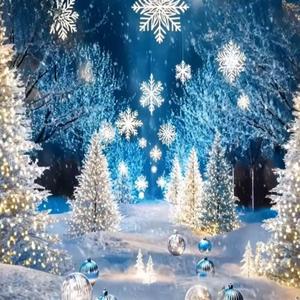 The Light That Stays