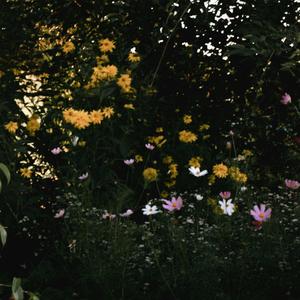 и сны цикличны как петля