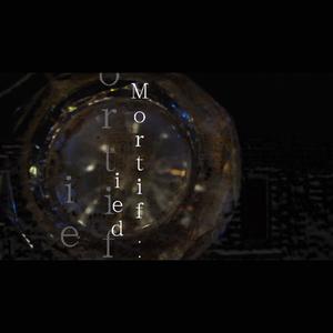 Mortified (feat. jackzebra)