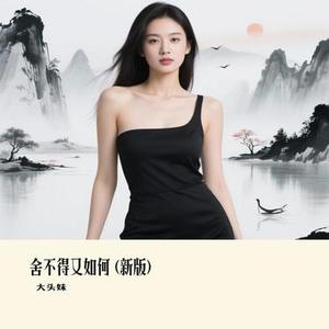 舍不得又如何  (新版) (Remix)