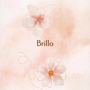BRILLO